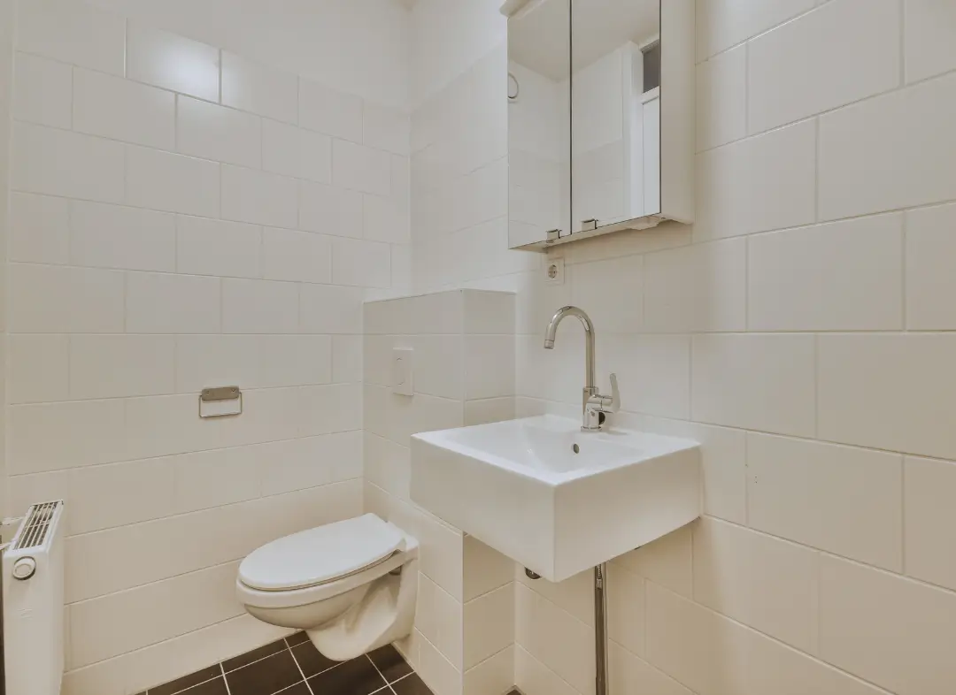 Pose WC Suspendu Contes